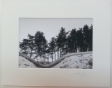 Wavy Wall Coldwell 2010 £35 mounted and wrapped